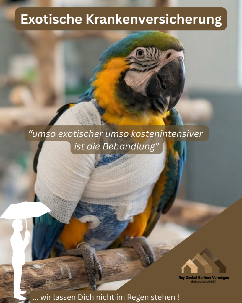 Der Papagei oder die exotische Schlange müssen auch hin und wieder zum Tierarzt, hier tritt die exotische Krankenversicherung ein und ersetzt den größten Teil Deiner Kosten